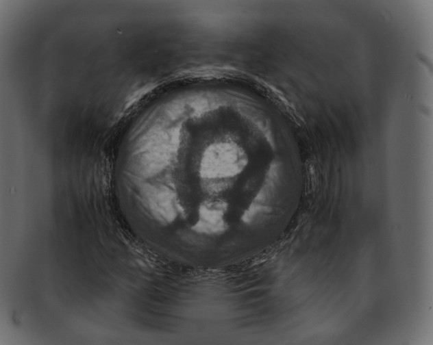 X0000091941158200710031112