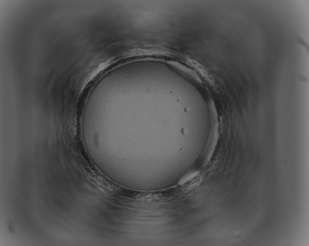 X0000091941165200710031112