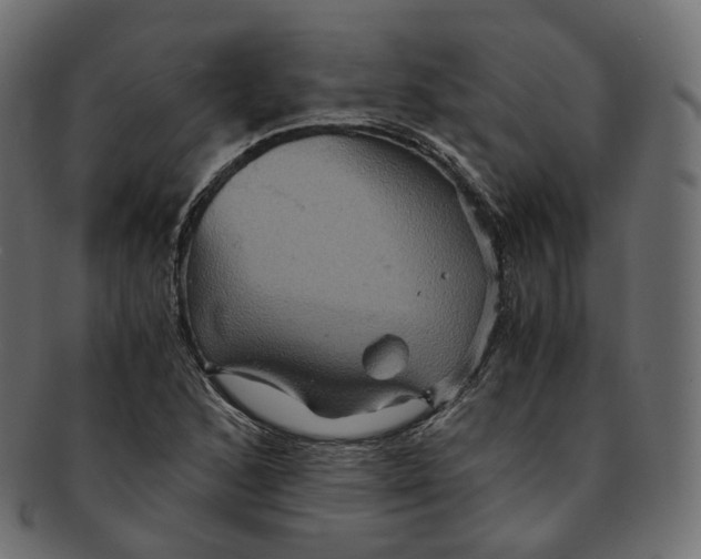 X0000091941168200710031112