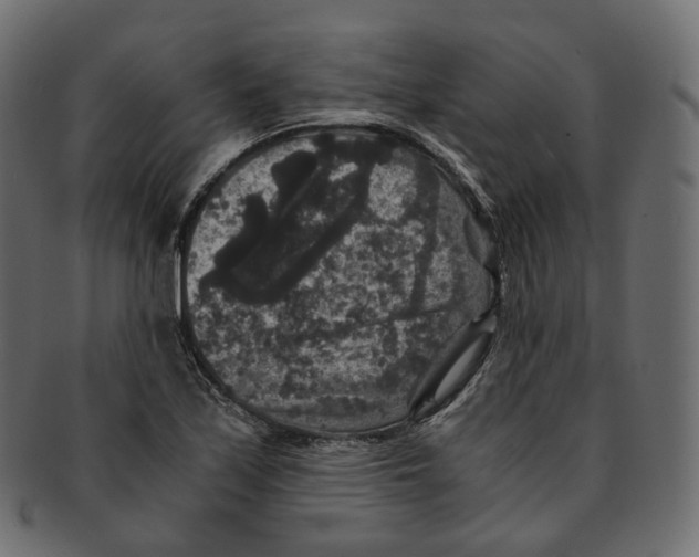 X0000091941171200710031112