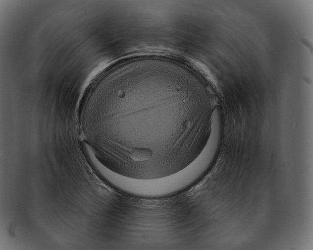 X0000091941172200710031112