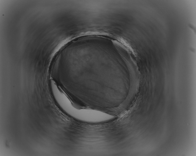 X0000091941173200710031112