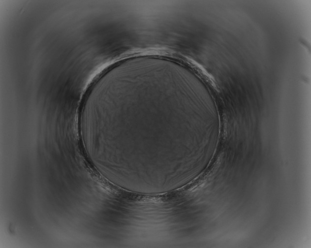 X0000091941174200710031112