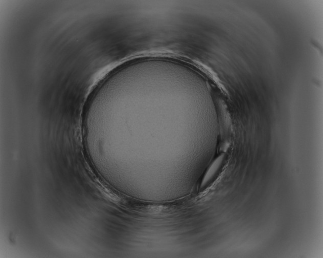 X0000091941176200710031112