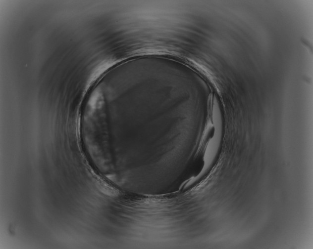 X0000091941179200710031112