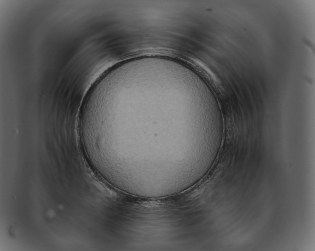 X0000091941182200710031112