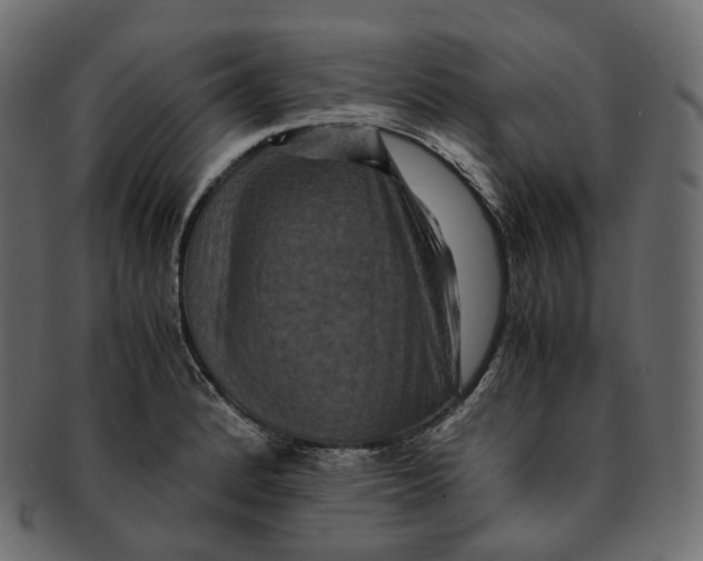 X0000091941184200710031112