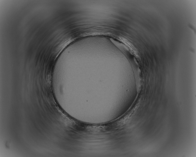 X0000091941185200710031112