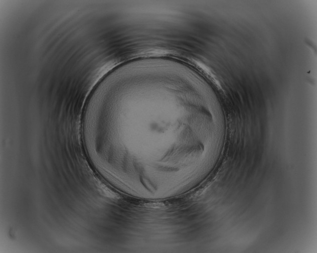 X0000091941186200710031112