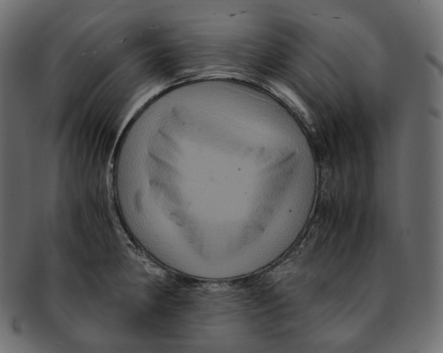 X0000091941190200710031112