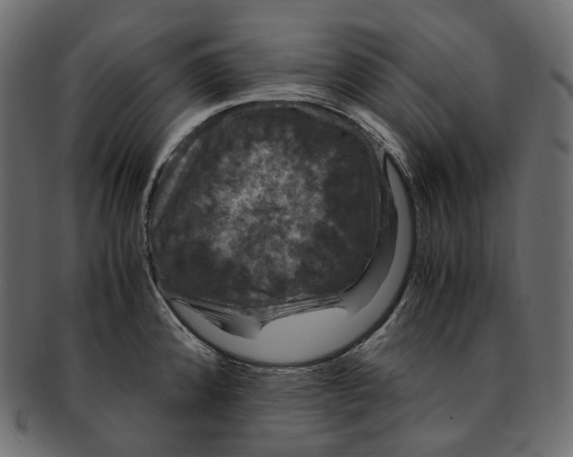 X0000091941192200710031112