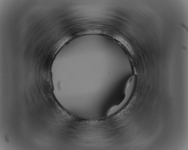 X0000091941193200710031112