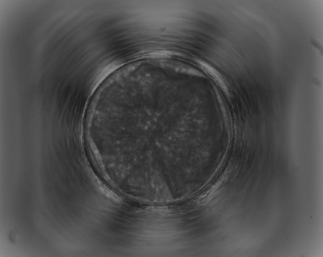 X0000091941194200710031112