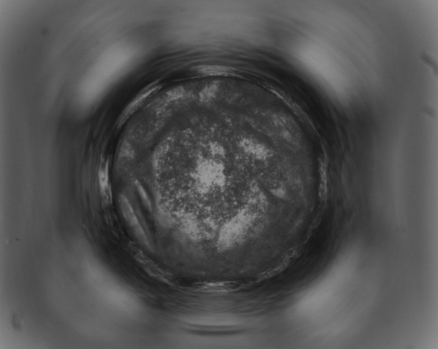 X0000091941198200710031112