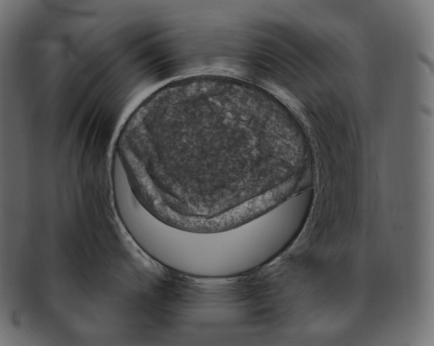 X0000091941200200710031112