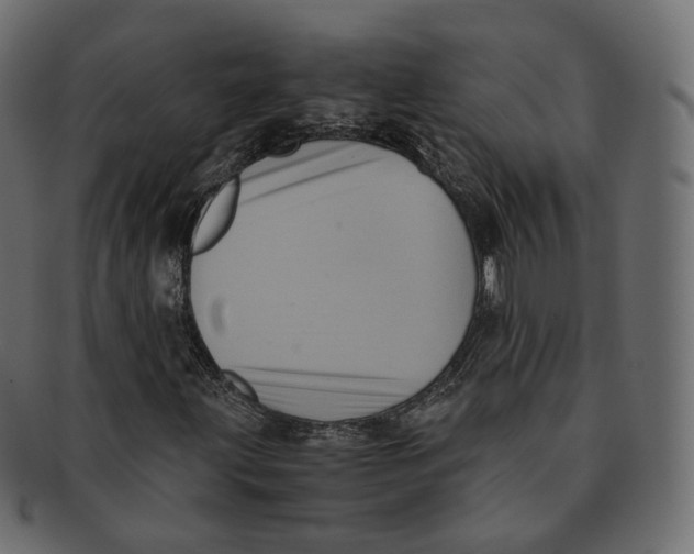 X0000091941203200710031111