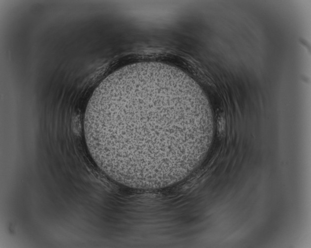 X0000091941204200710031111