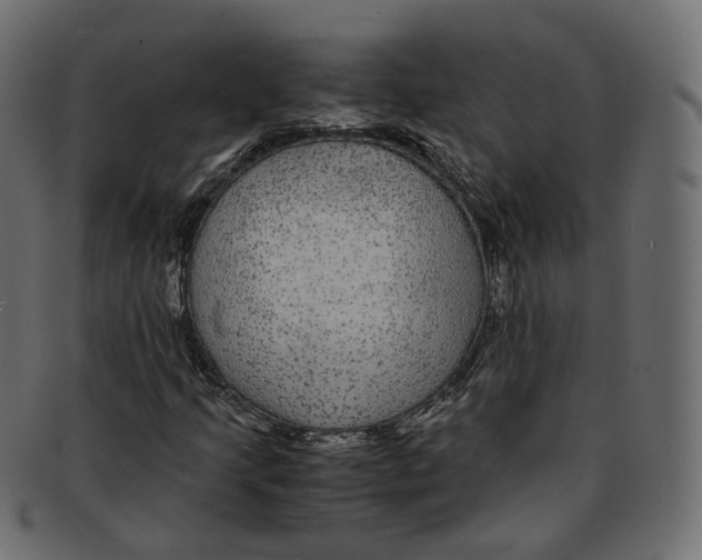 X0000091941205200710031111