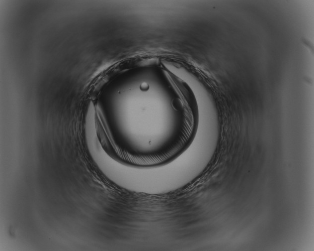 X0000091941206200710031111