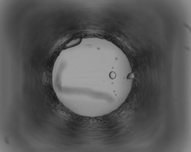 X0000091941207200710031111