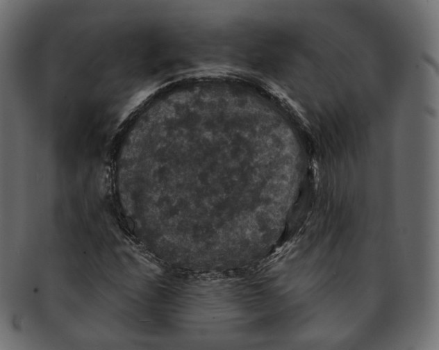 X0000091941208200710031111