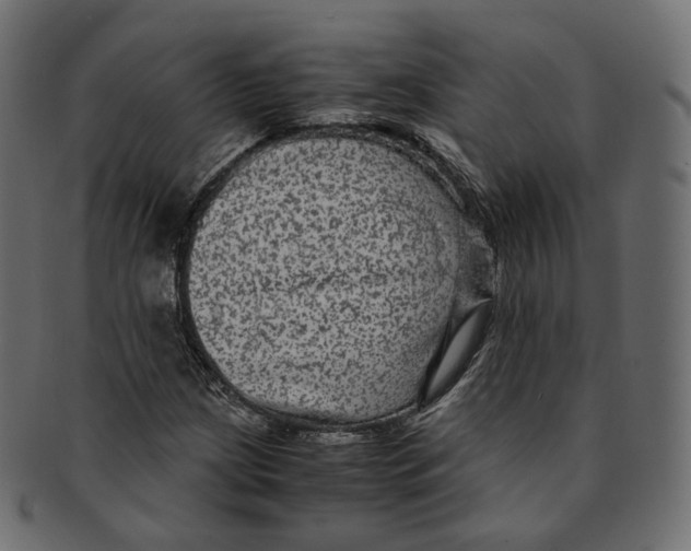 X0000091941209200710031111