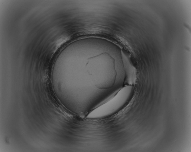 X0000091941210200710031111