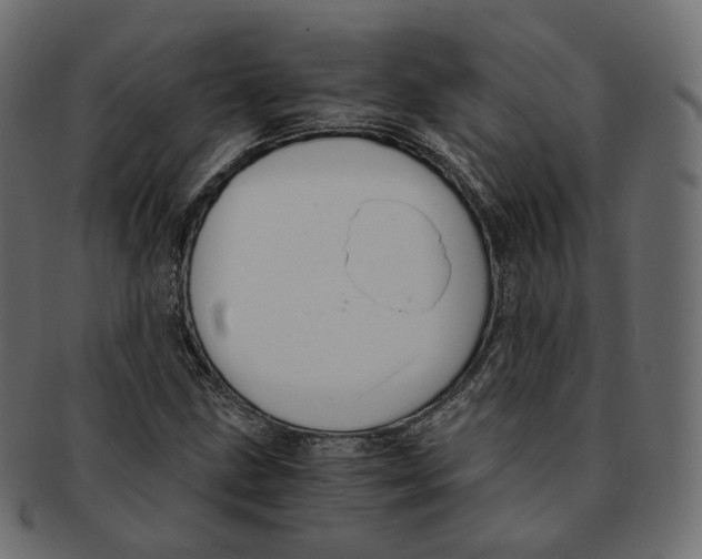 X0000091941211200710031111