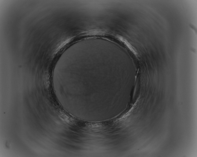 X0000091941213200710031111