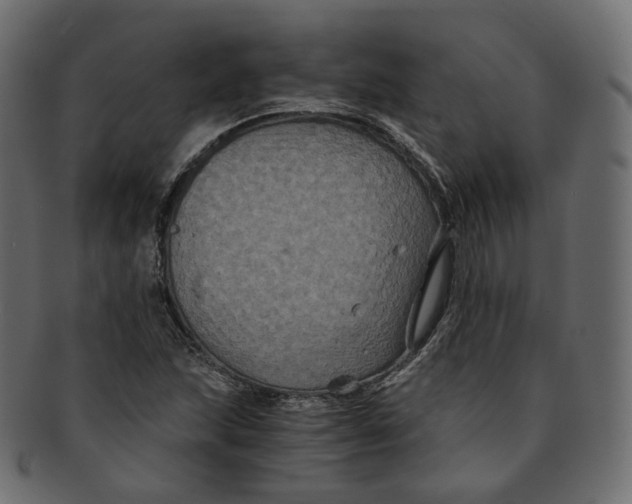 X0000091941215200710031111