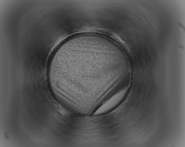 X0000091941216200710031111