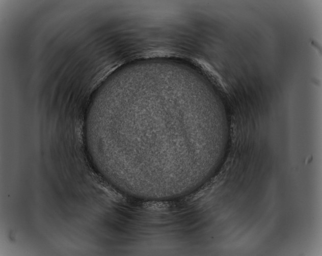 X0000091941217200710031111