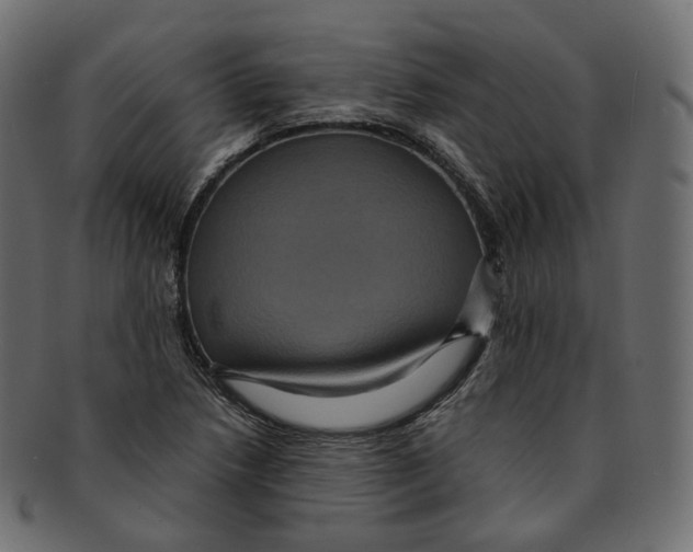 X0000091941218200710031111