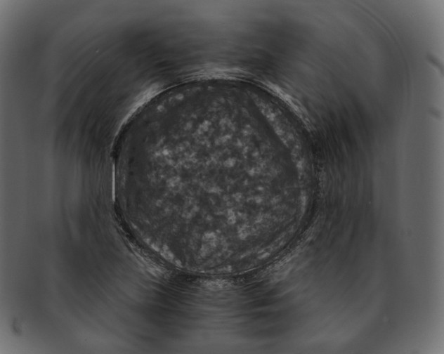 X0000091941219200710031111