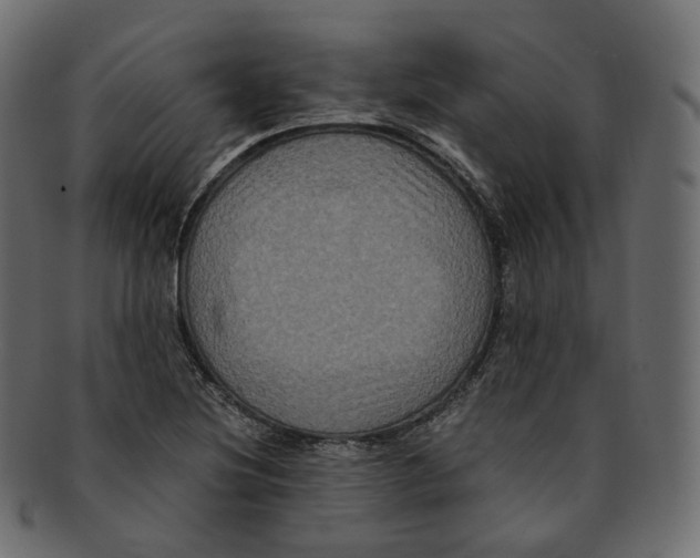 X0000091941220200710031111