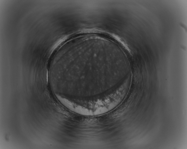 X0000091941221200710031111