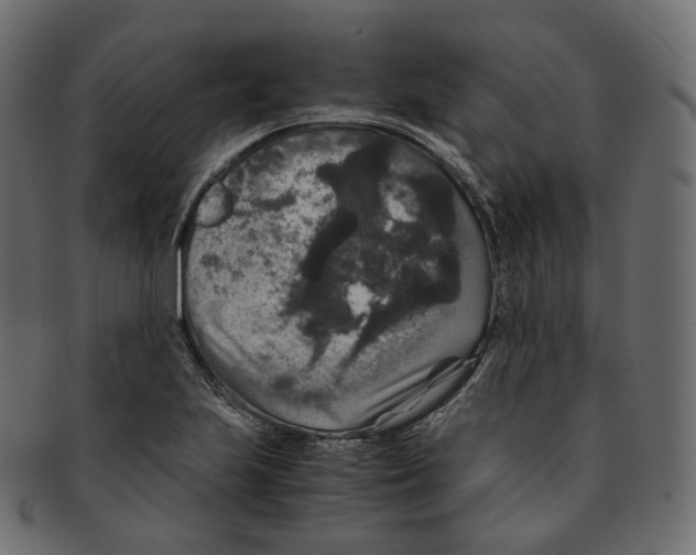 X0000091941223200710031111