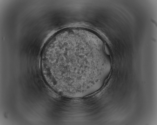 X0000091941224200710031111