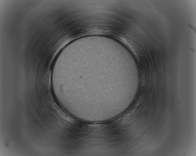 X0000091941227200710031111