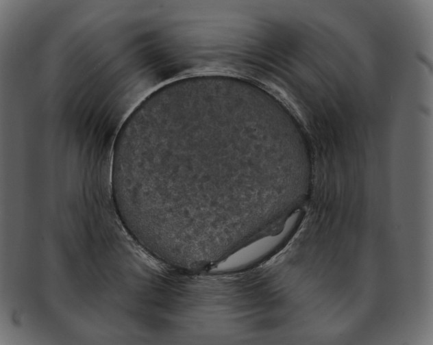 X0000091941228200710031111