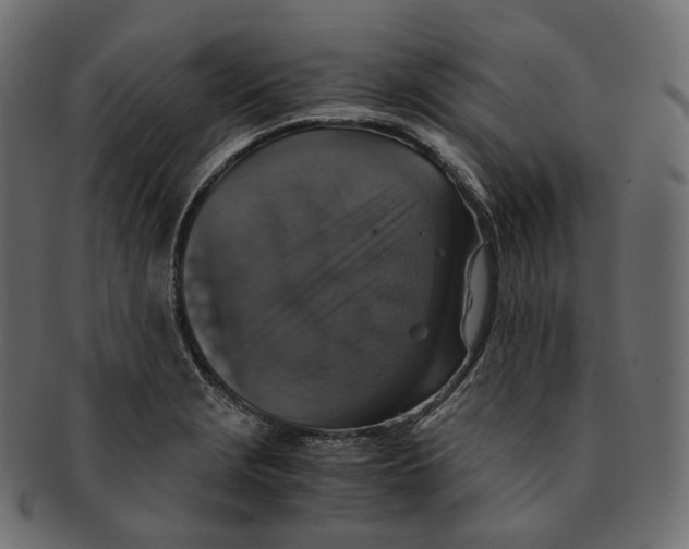 X0000091941229200710031111