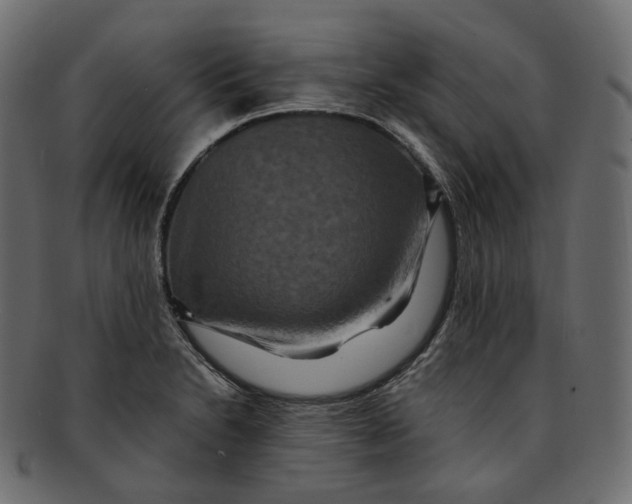 X0000091941230200710031111