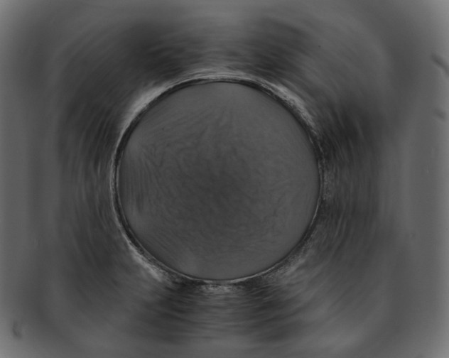 X0000091941231200710031111