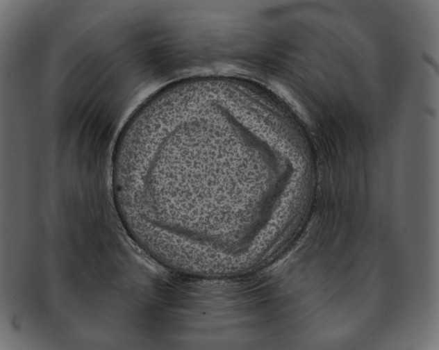 X0000091941232200710031111