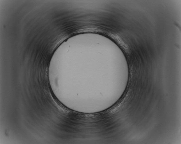 X0000091941233200710031111