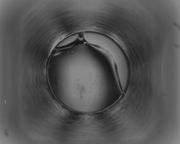 X0000091941234200710031111