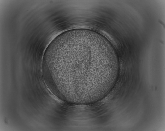 X0000091941236200710031111