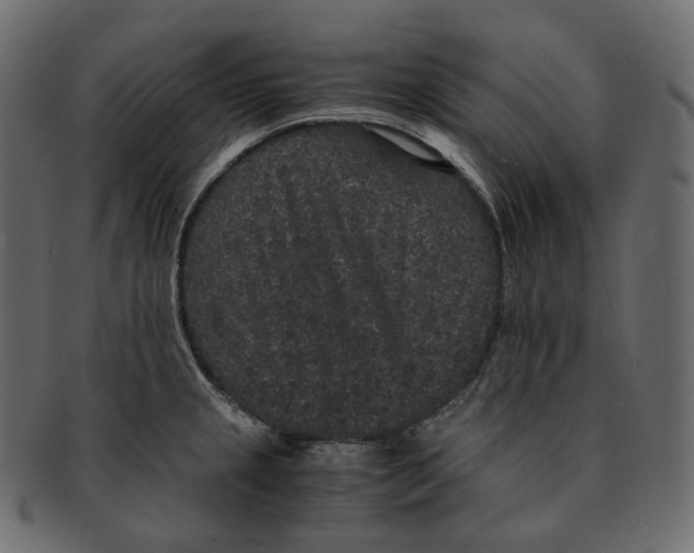 X0000091941237200710031111