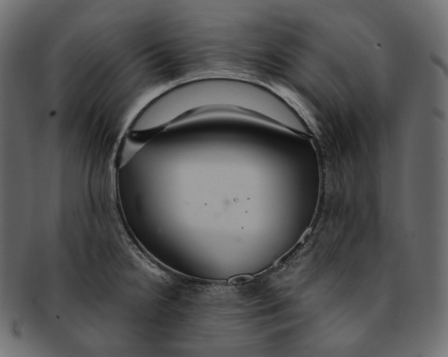 X0000091941238200710031111