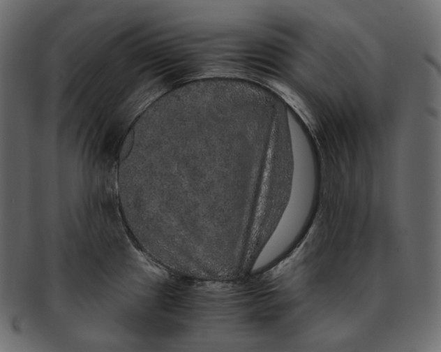 X0000091941241200710031111